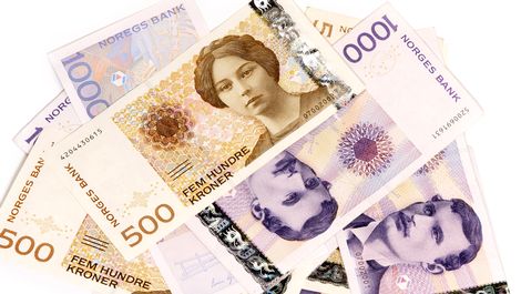 Økonomisk bidrag til leiteaksjonen